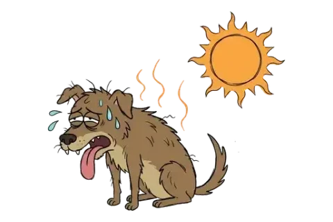 Rebus puzzle 13: an illustration hinting at "HOT DOG"